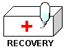 recovery