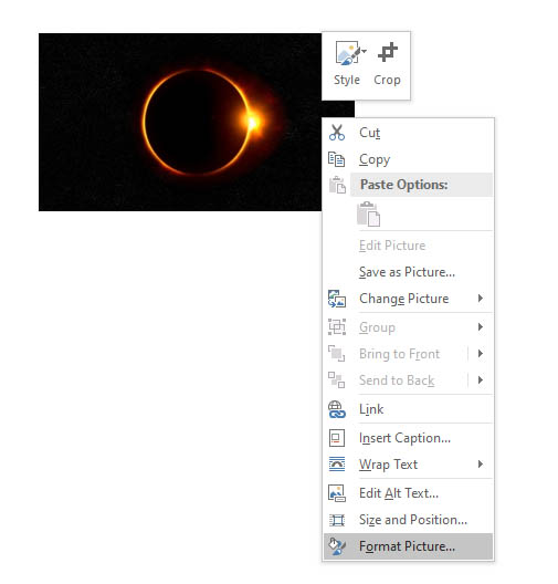 Format Picture drop-down menu