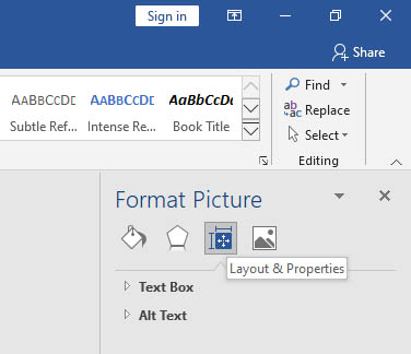 Format Picture pane showing Layout & Properties